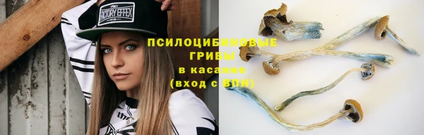 apvp Аркадак