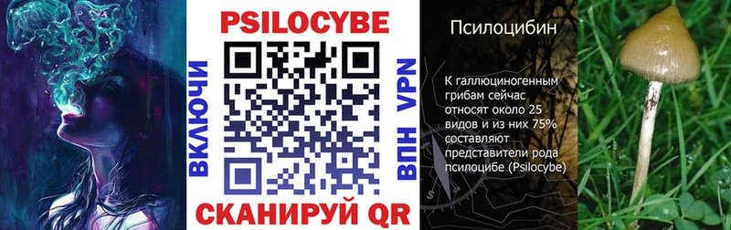 Псилоцибиновые грибы мухоморы  ОМГ ОМГ ТОР  мориарти формула  Гусь-Хрустальный 