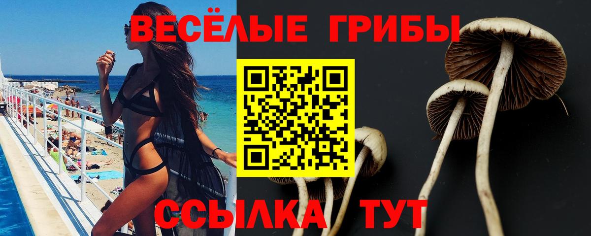 Псилоцибиновые грибы MAGIC MUSHROOMS  Вход с VPN  Гусь-Хрустальный  Галлюциногенные грибы GOLDEN TEACHER 
